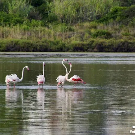 Vh Costablanca - Gralla * Benissa