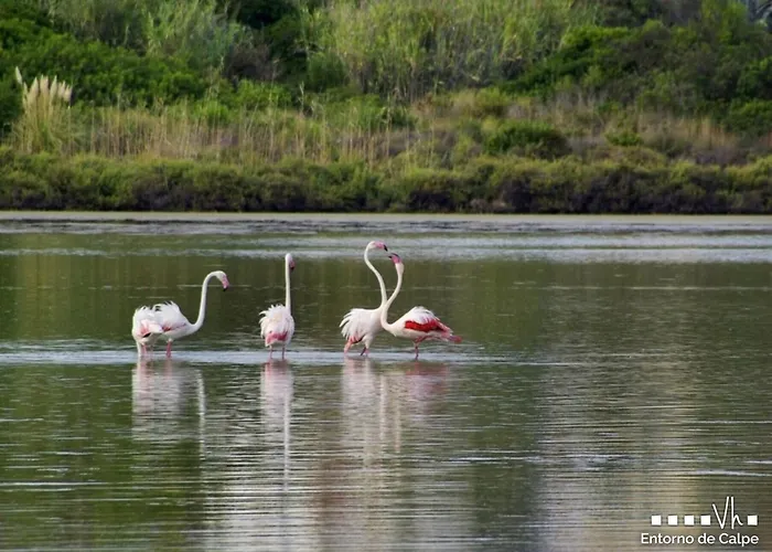 Vh Costablanca - Gralla * Benissa